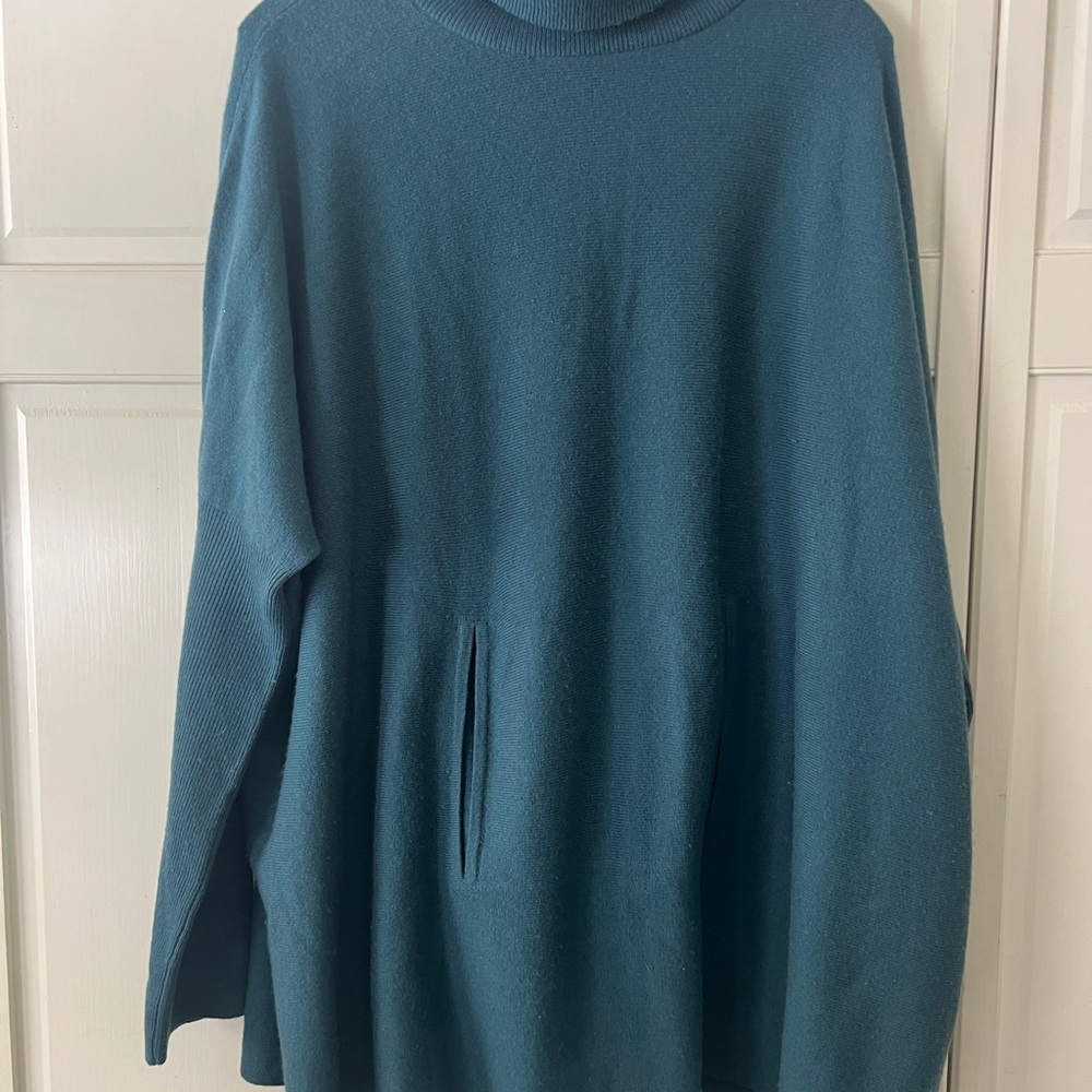 Garnet Hill oversized wool and cashmere turtleneck sweater